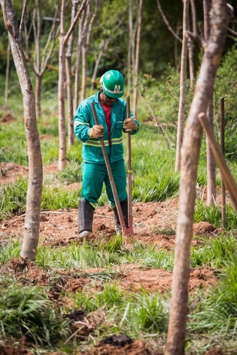 Agroflor_SantoAntonioGrama_2019_88