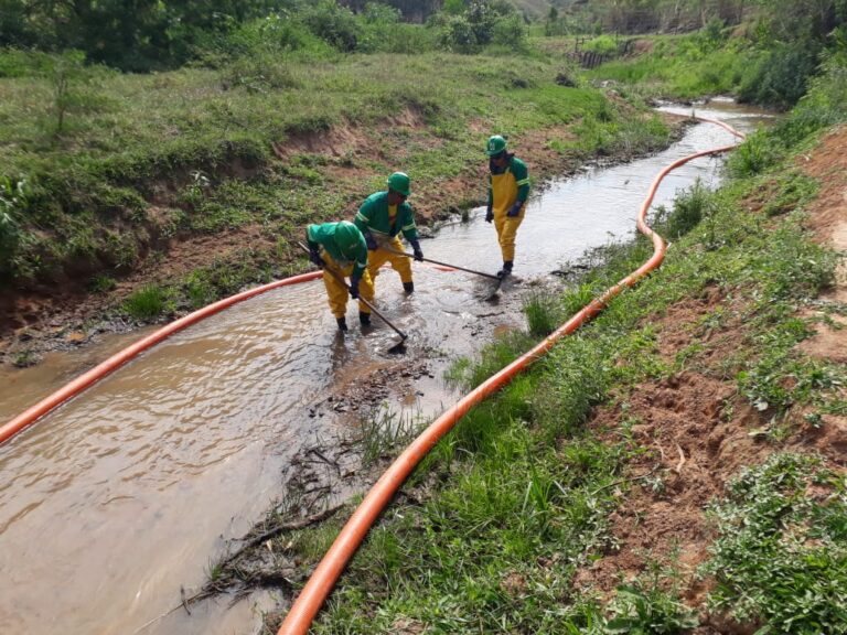 WhatsApp Image 2018-10-10 at 17.16.43