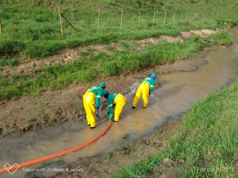 WhatsApp Image 2018-10-17 at 18.12.58 (1)